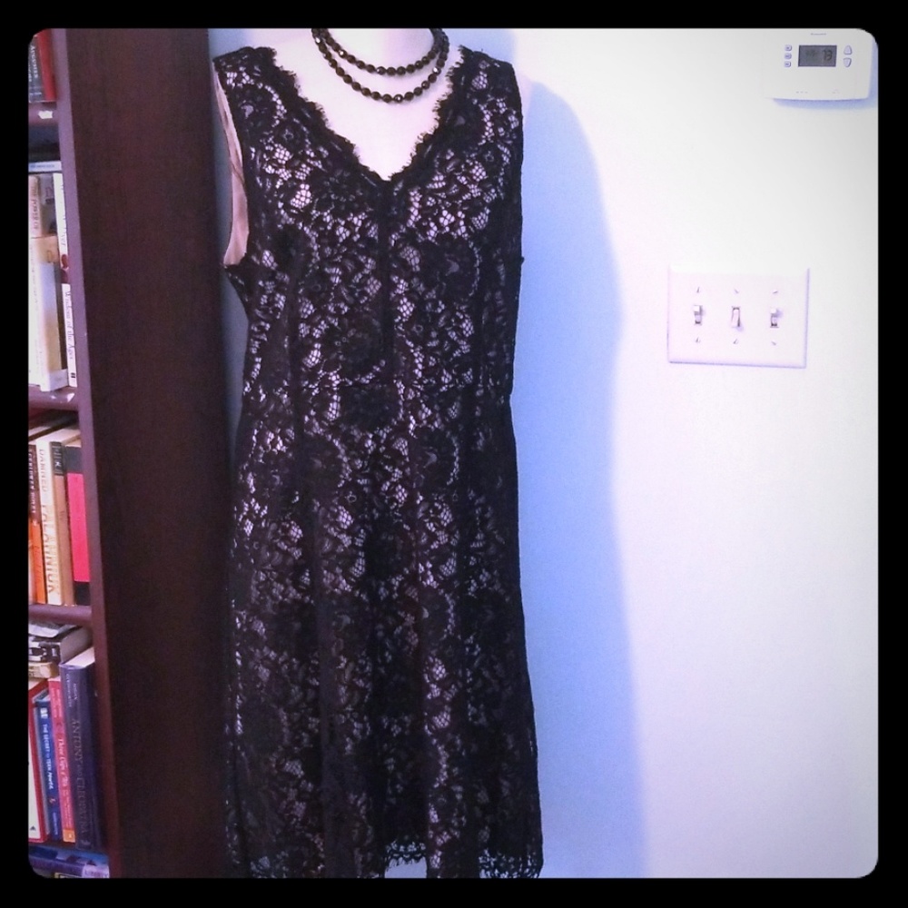 NWT LOFT Gorgeous Black lace formal dress Size 14